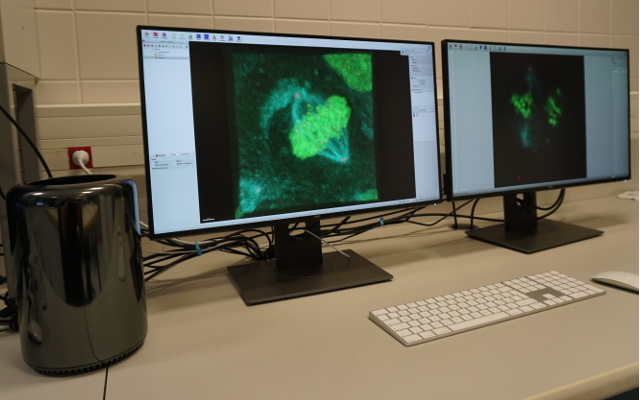 Pracovní stanice a software pro analýzu obrazu