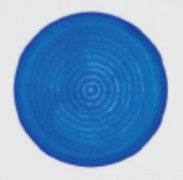 Obrázek č. 1: Obrázek zobrazuje obarvené fibroblasty kuřecích embryí v nádobě o objemu 100 mm. Vlivem vibrací se následně seskupily do soustředného kruhového obrazce. 