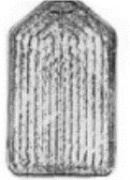 Obrázek č. 2: Růst buněčných kultur v kultivační lahvi za přítomnosti stojatého vlnění.