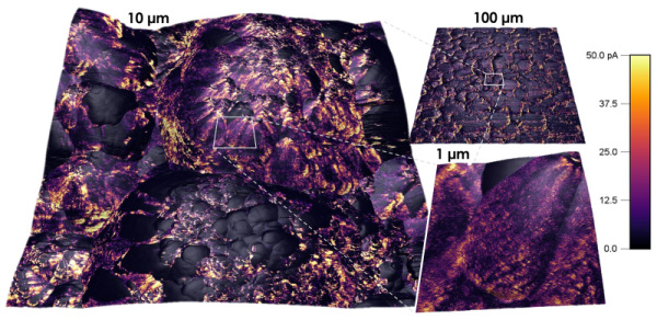 Proud měřený pomocí vodivostního AFM překrytý 3D vykreslením topografie komerčně dostupné NMC katody Li-ion baterie.