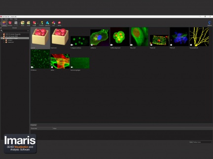 Imaris modul Arena - databáze dat