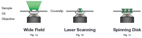 Schématické znázornění konvenčních mikroskopických technik (Andor, 2016)